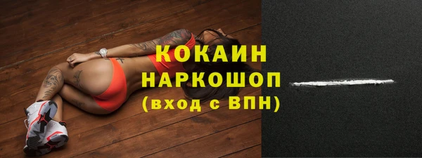 стаф Новодвинск