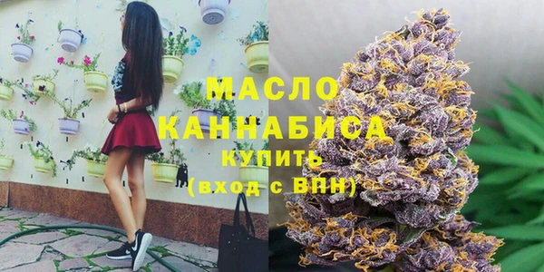 тгк Новозыбков