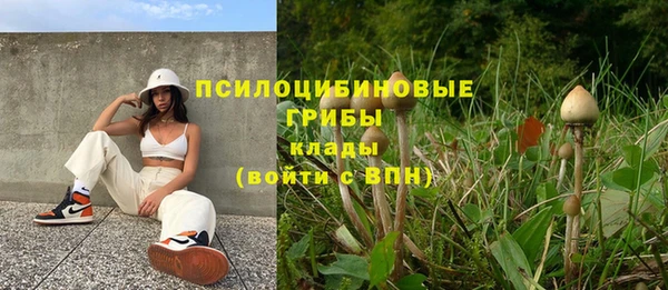 стаф Новодвинск