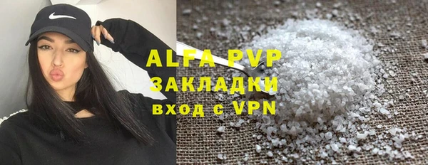 стаф Новодвинск