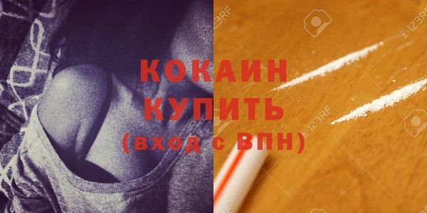 индика Бабаево