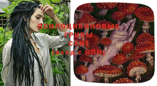 соль курить ск Новокубанск