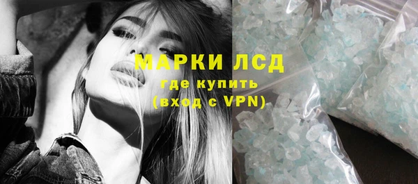 стаф Новодвинск