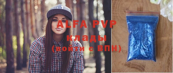тгк Новозыбков
