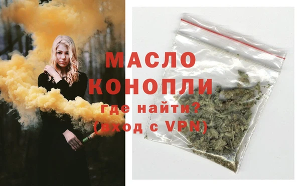эйфоретик Няндома