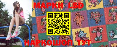 СК Апшеронск