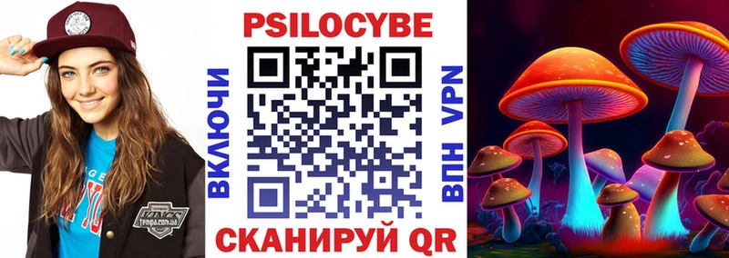 Псилоцибиновые грибы Psilocybe  Балаково 