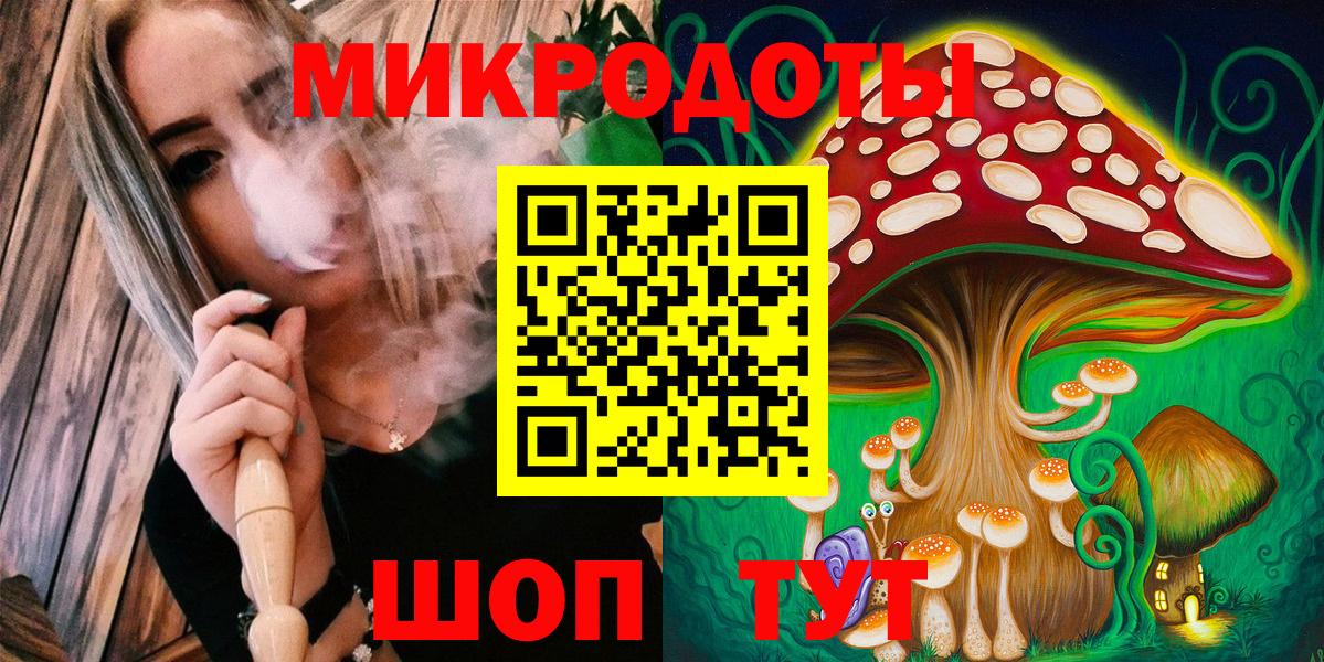 Псилоцибиновые грибы прущие грибы  Псилоцибиновые грибы Psilocybe  Балаково 