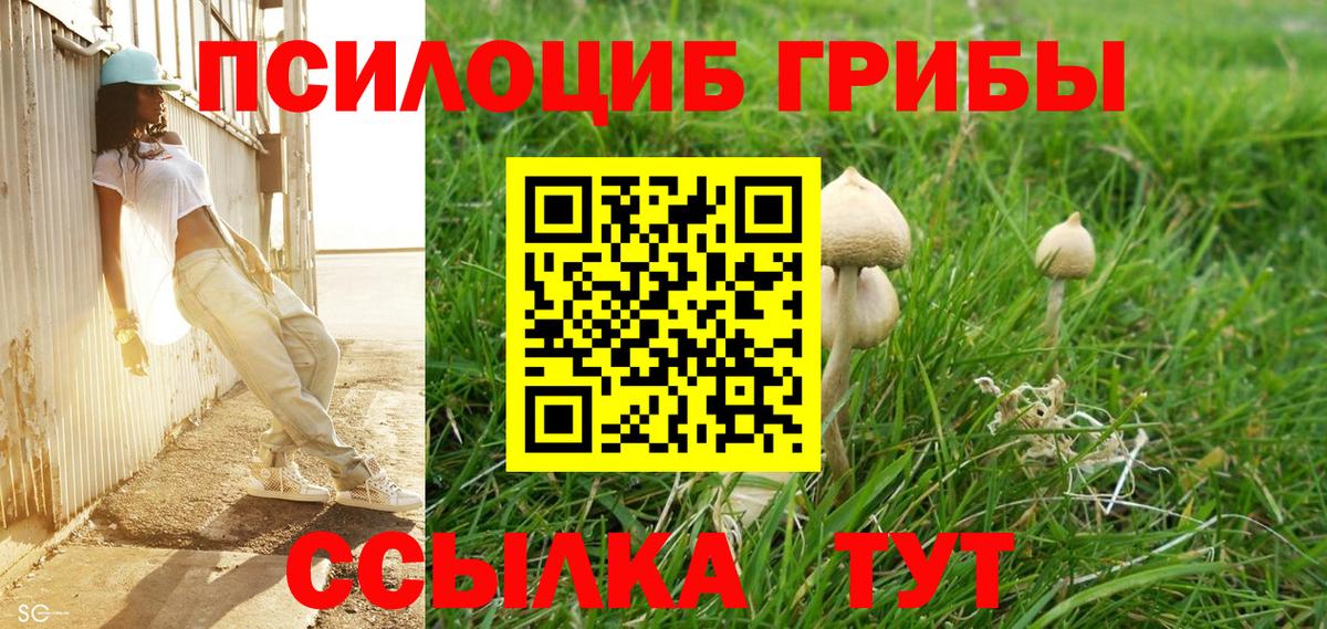 Галлюциногенные грибы MAGIC MUSHROOMS  Галлюциногенные грибы MAGIC MUSHROOMS  Вход с VPN  Балаково 